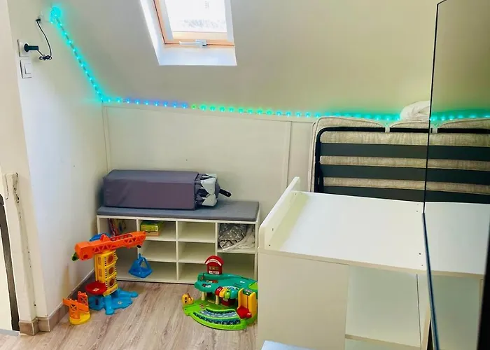 Villa Petit Charles - Cdg Paris Airport - Parc Asterix - Free Shuttle