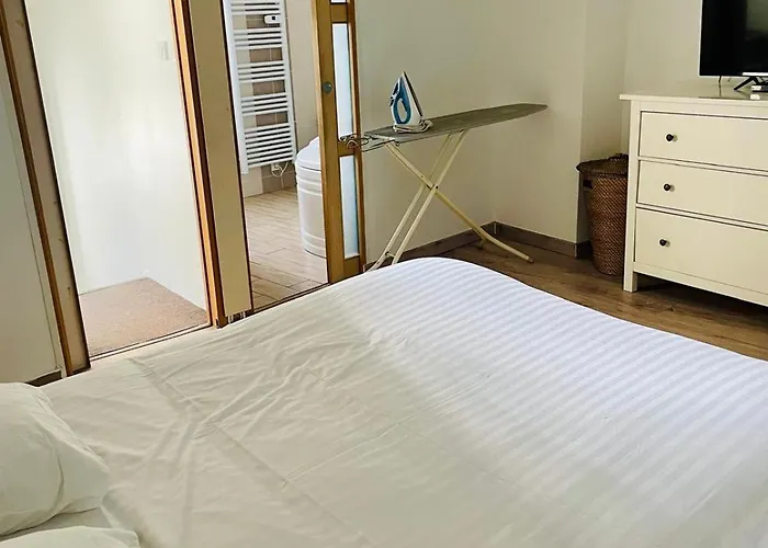 Villa Petit Charles - Cdg Paris Airport - Parc Asterix - Free Shuttle